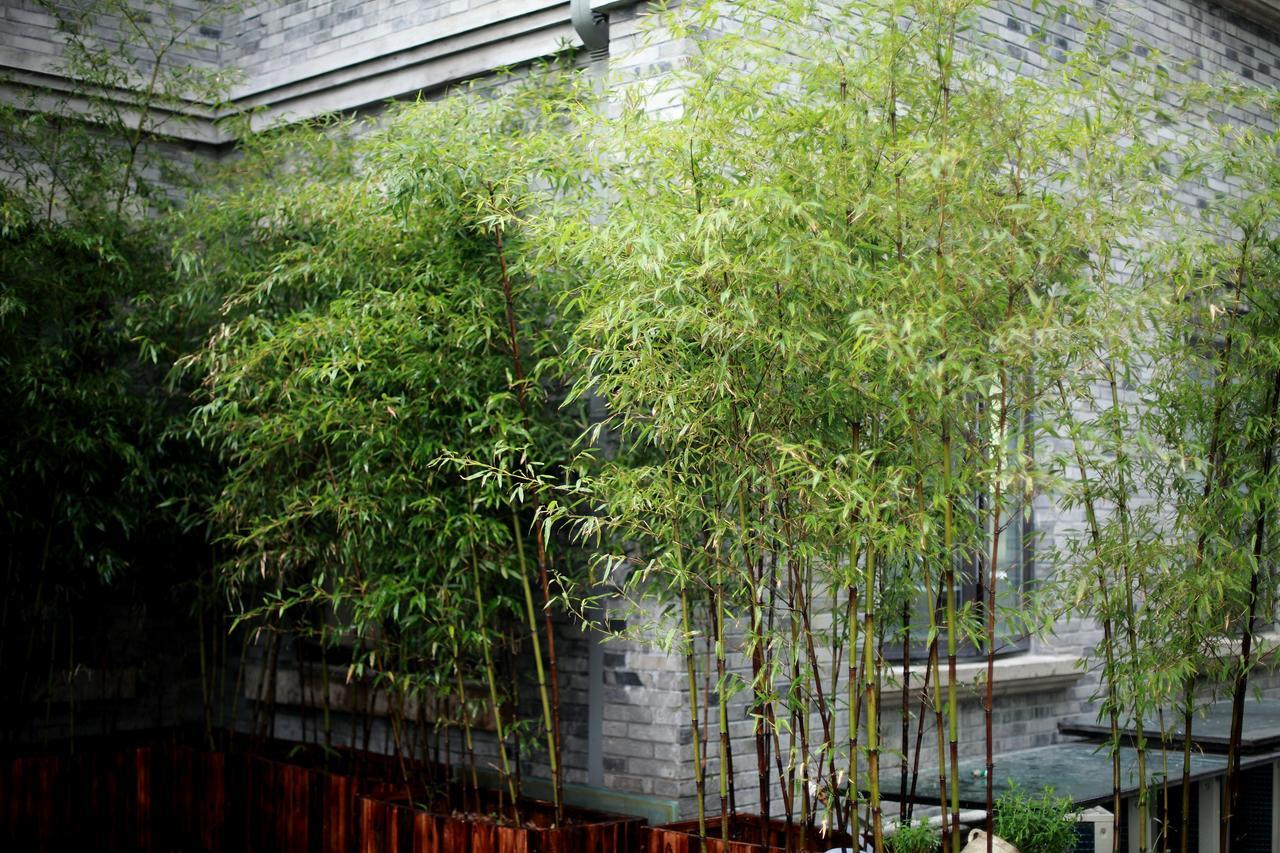 Study Resort Ningbo Buitenkant foto